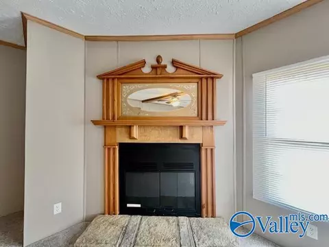 317 County Road 617, Section, AL 35771 photo 11