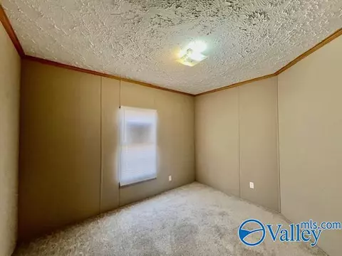 317 County Road 617, Section, AL 35771 photo 19
