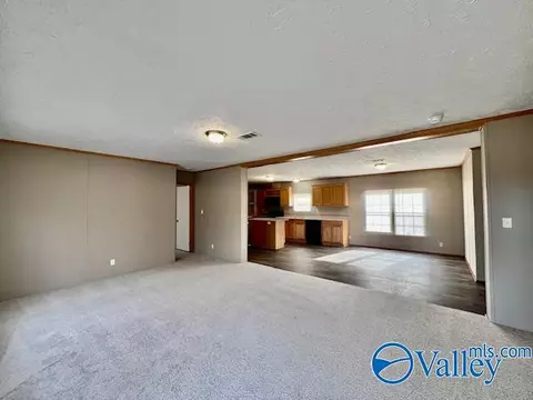 317 County Road 617, Section, AL 35771 photo 3
