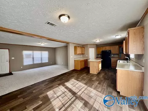 317 County Road 617, Section, AL 35771 photo 8