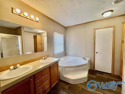 317 County Road 617, Section, AL 35771 photo 17