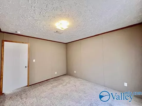 317 County Road 617, Section, AL 35771 photo 20