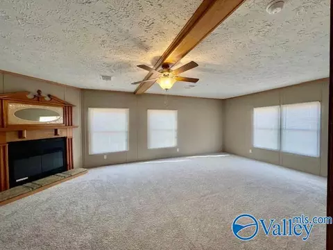 317 County Road 617, Section, AL 35771 photo 10