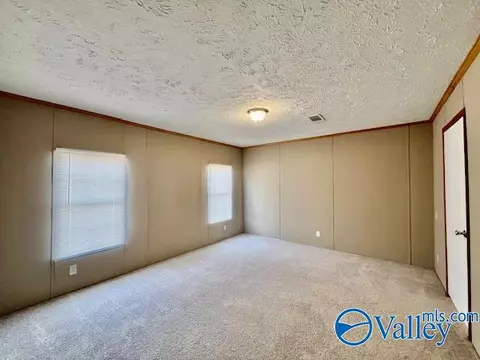 317 County Road 617, Section, AL 35771 photo 14