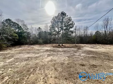 317 County Road 617, Section, AL 35771 photo 24