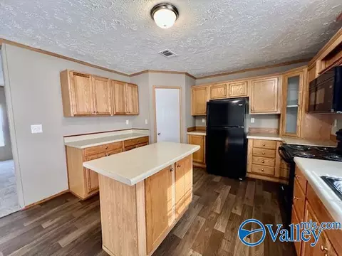 317 County Road 617, Section, AL 35771 photo 9