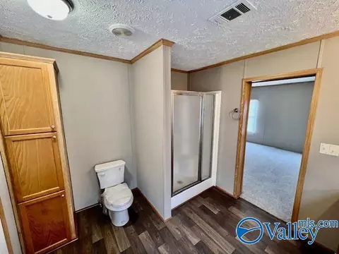 317 County Road 617, Section, AL 35771 photo 16