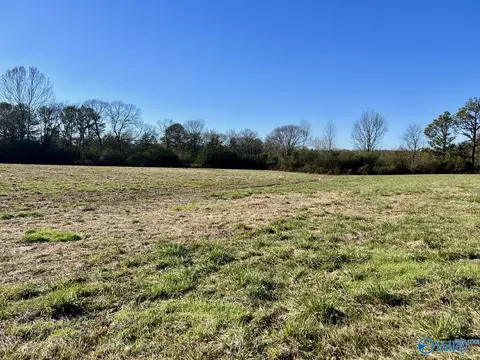 lot2 Matt Morrow Rd, Arab, AL 35016 photo 6