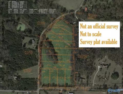 lot2 Matt Morrow Rd, Arab, AL 35016 photo 2