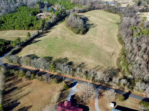 lot2 Matt Morrow Rd, Arab, AL 35016 photo 3