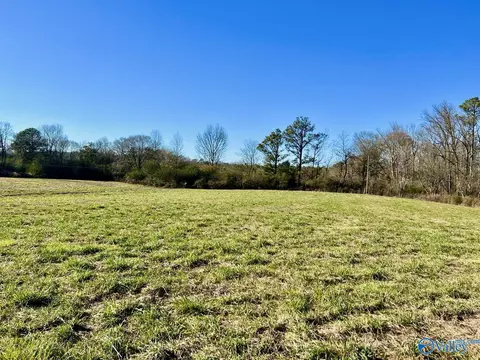 lot2 Matt Morrow Rd, Arab, AL 35016 photo 4