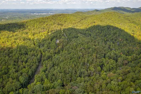 APT 2 32 Acres Highland Woods, Jacksonville, AL 36265