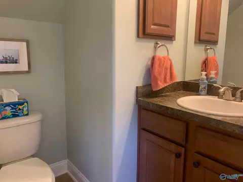 159 Fields Pond Dr, Madison, AL 35756 photo 9