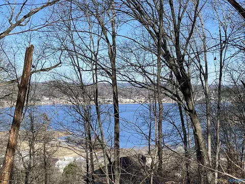 14 Ac Jackson Trl, Guntersville, AL 35976
