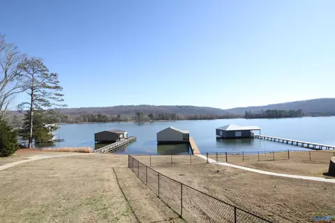 234 Sauta Loop, Langston, AL 35755 photo 24