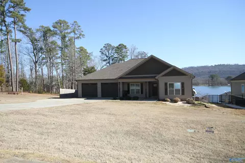 234 Sauta Loop, Langston, AL 35755 photo 42
