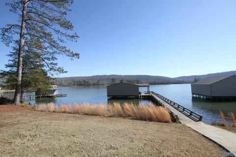 234 Sauta Loop, Langston, AL 35755 photo 28