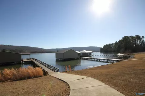 234 Sauta Loop, Langston, AL 35755 photo 29