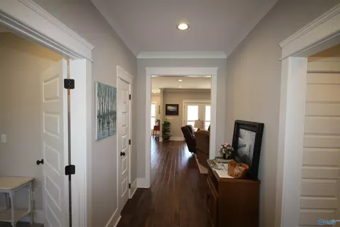 234 Sauta Loop, Langston, AL 35755 photo 18