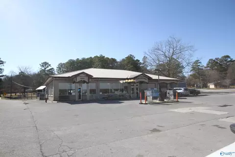 234 Sauta Loop, Langston, AL 35755 photo 39