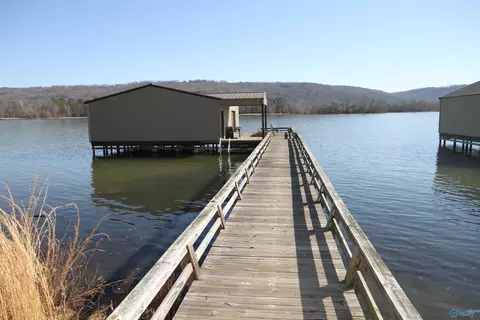 234 Sauta Loop, Langston, AL 35755 photo 30