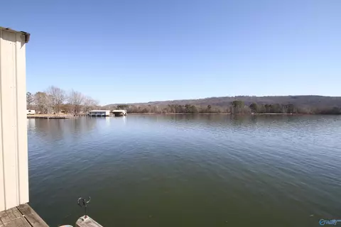 234 Sauta Loop, Langston, AL 35755 photo 34