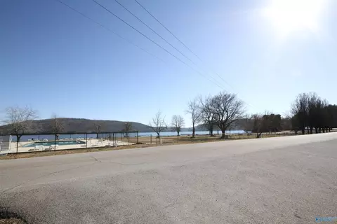 234 Sauta Loop, Langston, AL 35755 photo 38