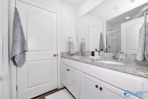 Bath - 209 Maple Spring Trl, Madison, AL 35758 photo 2 of 4