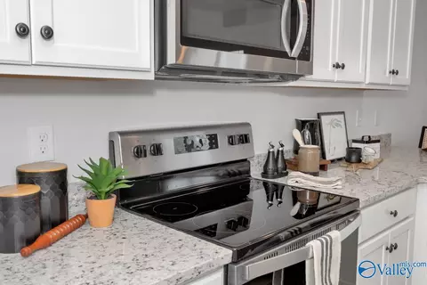 Kitchen - 205 Maple Spring Trl, Madison, AL 35758 photo 9 of 9