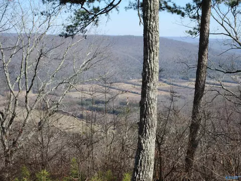 4400 County Road 39, Fackler, AL 35752