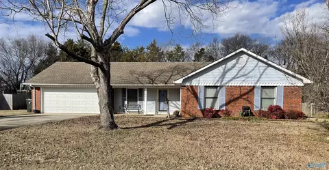 135 Raspberry Way, Madison, AL 35757 photo 1
