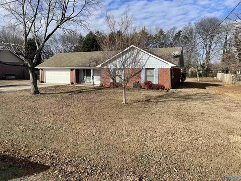 135 Raspberry Way, Madison, AL 35757 photo 3