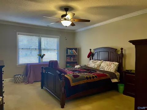 135 Raspberry Way, Madison, AL 35757 photo 24