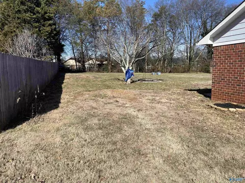 135 Raspberry Way, Madison, AL 35757 photo 5