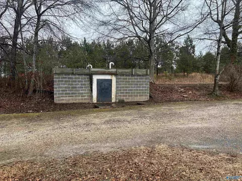 350 County Road 49, Cedar Bluff, AL 35959 photo 6