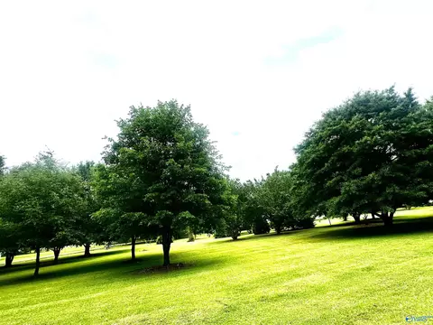 350 County Road 49, Cedar Bluff, AL 35959 photo 5