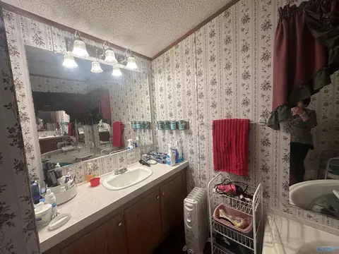 350 County Road 49, Cedar Bluff, AL 35959 photo 18