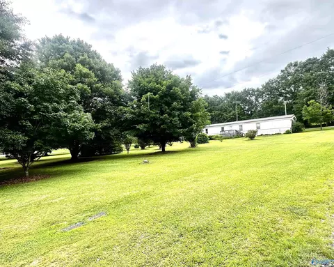 350 County Road 49, Cedar Bluff, AL 35959 photo 3