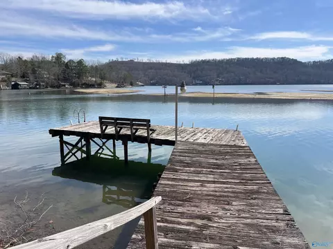 970 County Road 752, Cedar Bluff, AL 35959 photo 2