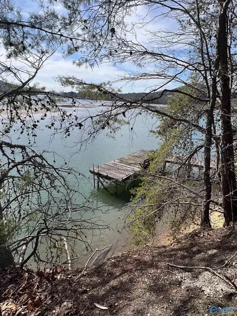 970 County Road 752, Cedar Bluff, AL 35959 photo 8