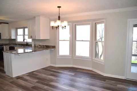 1202 Walker Dr, Glencoe, AL 35905 photo 9