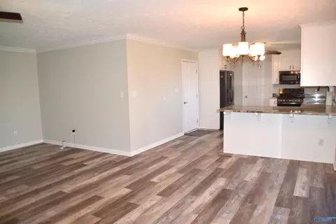 1202 Walker Dr, Glencoe, AL 35905 photo 10