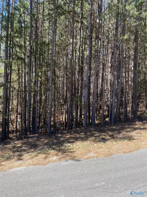 lot4 Blk 2 Alyson Ave, Fort Payne, AL 35968