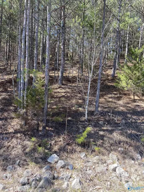 lot3 Blk 2 Alyson Ave, Fort Payne, AL 35968