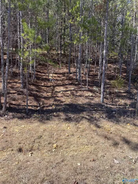 lot2 Blk 2 Alyson Ave, Fort Payne, AL 35968