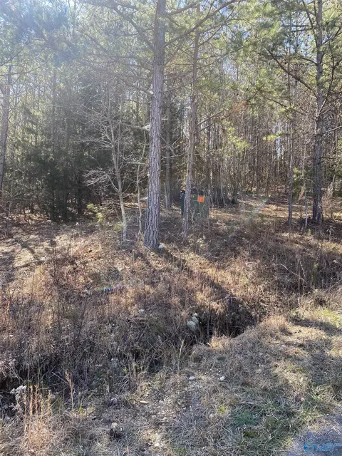 lot1 Blk 2 Alyson Ave, Fort Payne, AL 35968