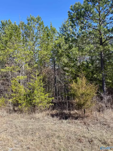 lot4 1st Add Alyson Ave, Fort Payne, AL 35968