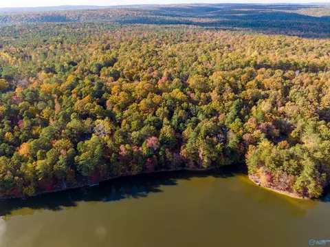 1810 County Road 103, Mentone, AL 35984