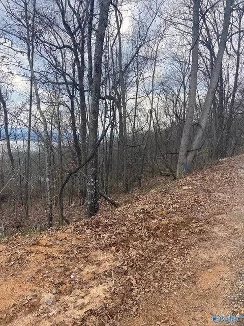 lot Hummingbird Way, Rainbow City, AL 35906
