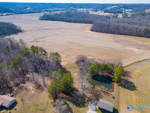 2255 County Road 362, Trinity, AL 35673 photo 7